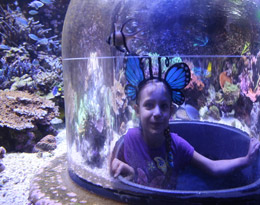 Butterfly House & Aquarium